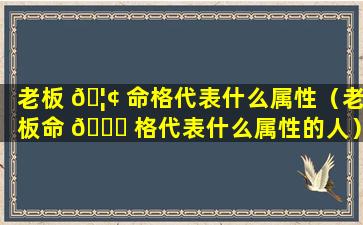 老板 🦢 命格代表什么属性（老板命 🐛 格代表什么属性的人）